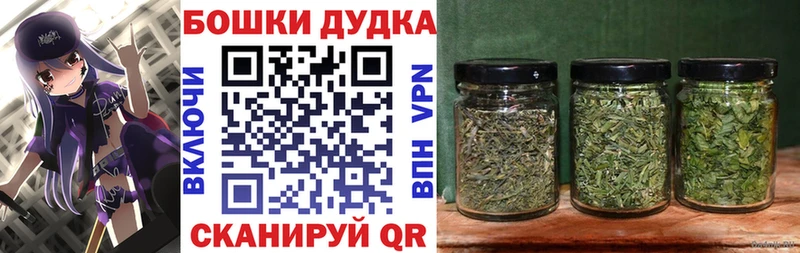 Конопля ГИДРОПОН  Купить где  Обь 
